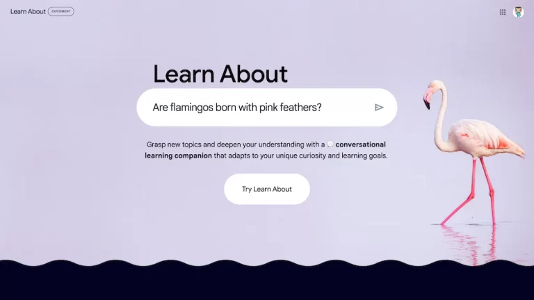 google's learn about website